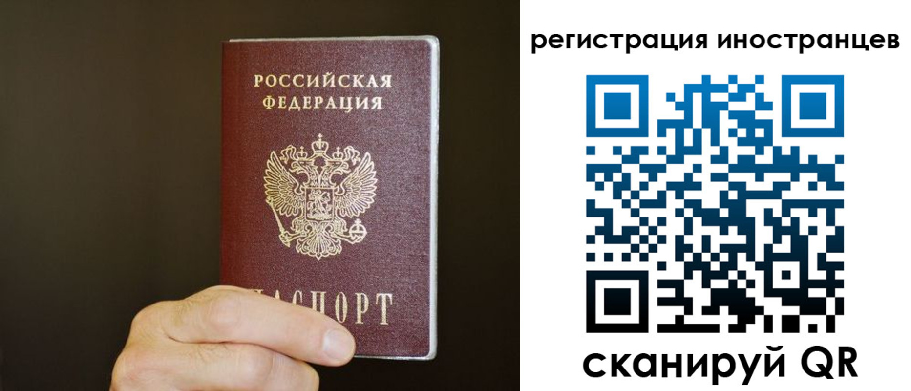 прописка в Шатуре